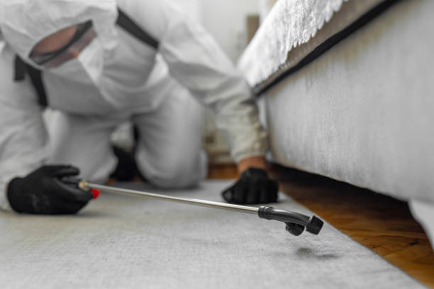 Professional Termite Control technician working in Stratmoor, CO