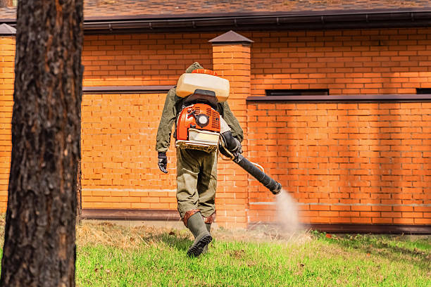 Trusted Termite Control service in Stratmoor, CO - Nex Pest Control
